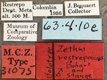 Media type: image;   Entomology 31075 Aspect: labels